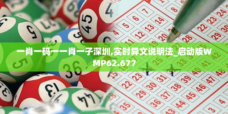 一肖一码一一肖一子深圳,实时异文说明法_启动版WMP62.677