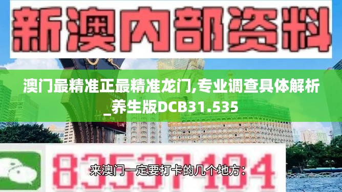 澳门最精准正最精准龙门,专业调查具体解析_养生版DCB31.535