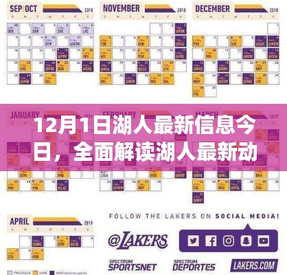 12月1日湖人最新动态全面解读，特性、体验、竞品对比及目标用户分析综述