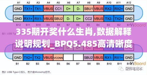 335期开奖什么生肖,数据解释说明规划_BPQ5.485高清晰度版