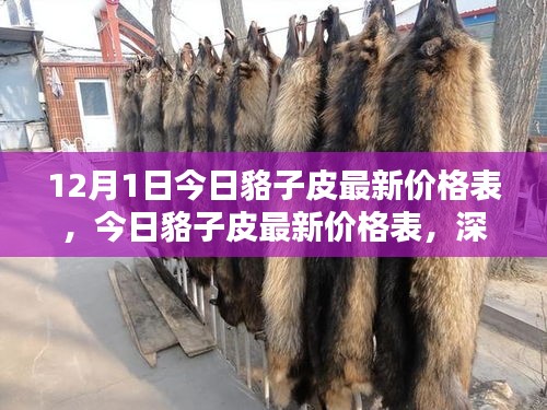 今日貉子皮最新价格表，深度评测与全面介绍
