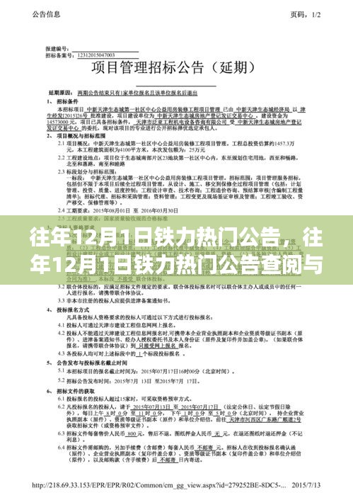往年12月1日铁力热门公告详解，从入门到进阶的查阅指南