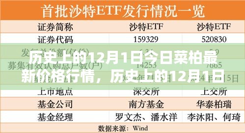 揭秘历史12月1日菜柏价格行情，最新行情大揭秘