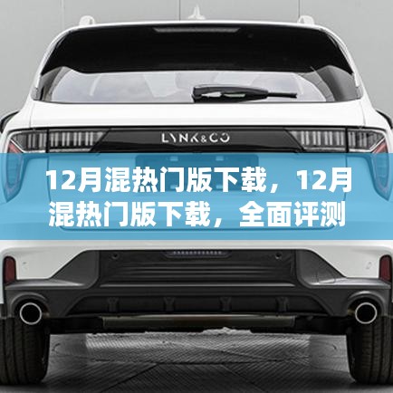 全面深度解析，12月混热门版下载的综合评测指南