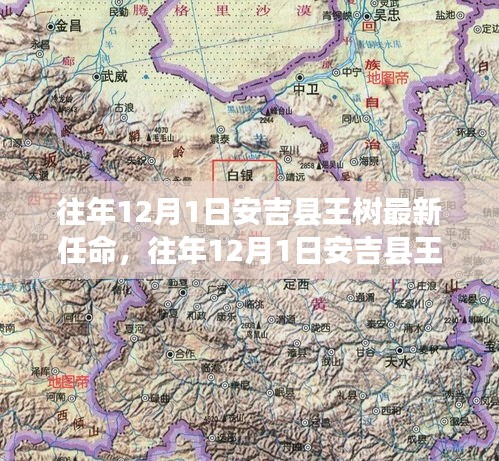 安吉县王树最新任命揭晓，解读背后的故事与深远意义