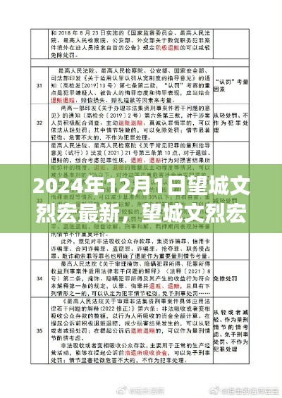 望城文烈宏最新指南，掌握关键技能，适合初学者与进阶用户（2024年12月更新）