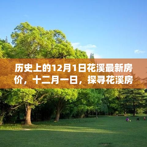 探寻花溪最新房价，与自然共舞的心灵净土之旅（十二月一日）