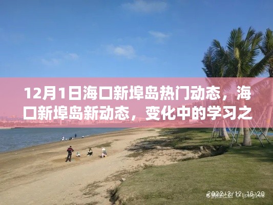 海口新埠岛最新动态，变化中的学习之旅，自信成就未来之路