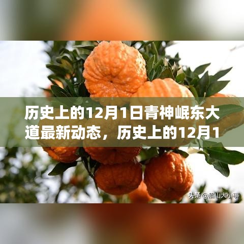 神清气爽 第5页