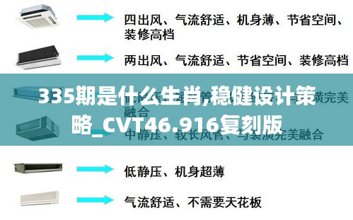 335期是什么生肖,稳健设计策略_CVT46.916复刻版