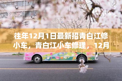 多元视角探讨，青白江小车修理的最新招贤动态分析