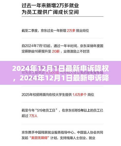 2024年申诉降权策略详解，高效恢复权重与提升排名指南