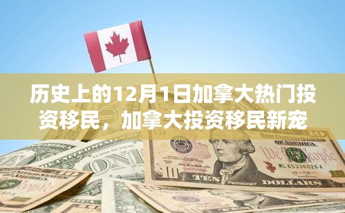 加拿大投资移民与科技产品深度解析，12月1日的热点聚焦报告