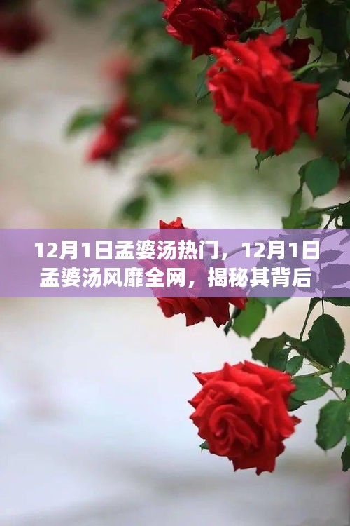 揭秘孟婆汤背后的故事与魅力，为何它在12月1日风靡全网？
