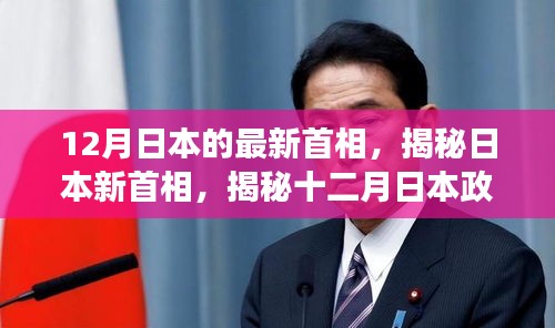 揭秘日本政坛新星，十二月新首相背后的故事
