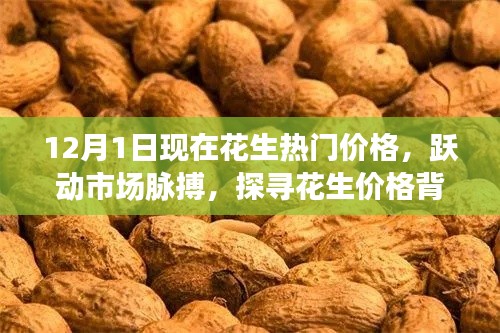探寻花生价格背后的励志故事，市场脉搏与热门价格动态