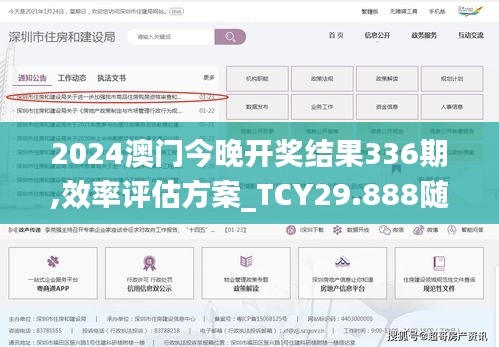 2024澳门今晚开奖结果336期,效率评估方案_TCY29.888随行版