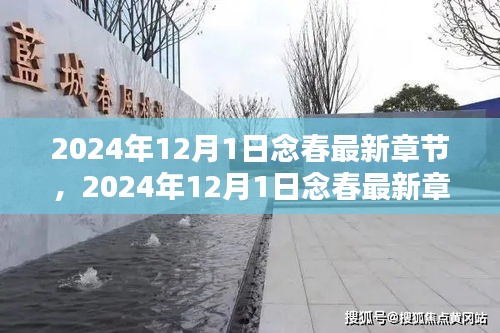 念春最新章节，小红书上的心动篇章（2024年）