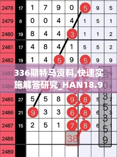 336期特马资料,快速实施解答研究_HAN18.994装饰版