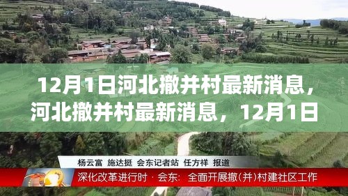 河北撤并村最新动态，深度解读与影响分析（12月更新）
