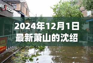 萧山沈绍英，小巷故事与美食秘境探秘