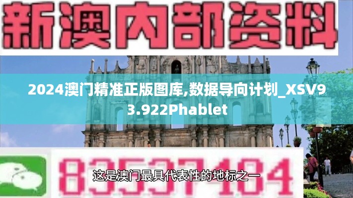 2024澳门精准正版图库,数据导向计划_XSV93.922Phablet
