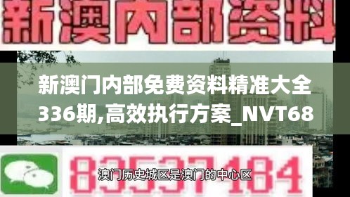 新澳门内部免费资料精准大全336期,高效执行方案_NVT68.743定向版