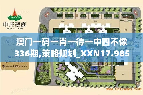 澳门一码一肖一待一中四不像336期,策略规划_XXN17.985生活版