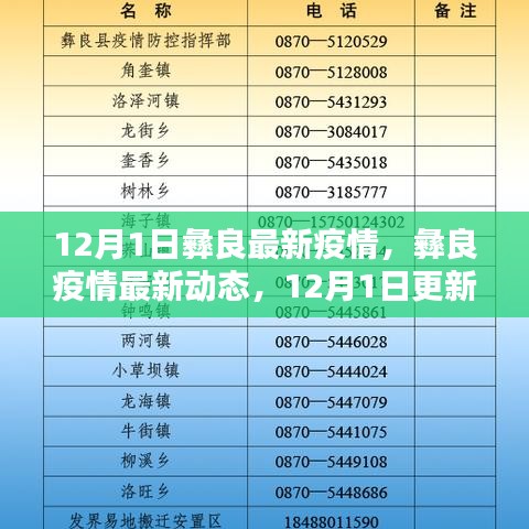 彝良疫情最新动态，共同守护家园安宁（12月1日更新）