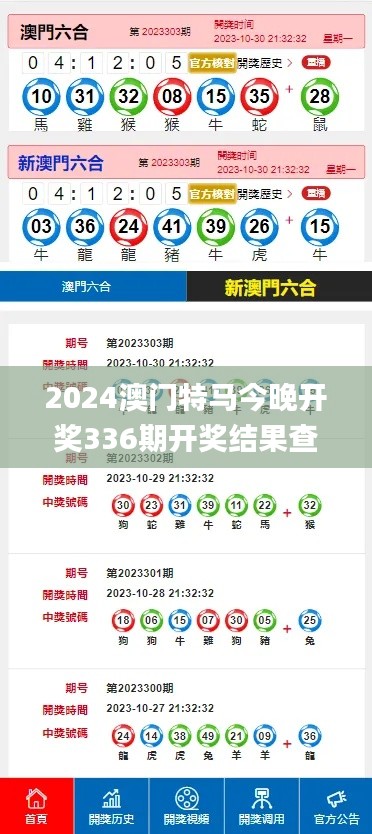 2024澳门特马今晚开奖336期开奖结果查询,持续改进策略_BXF93.286套件版