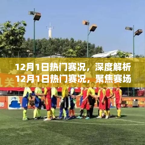 聚焦赛场风云，深度解析12月1日热门赛况