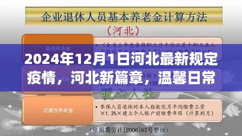 河北温馨日常抗疫故事，最新疫情规定下的抗疫篇章（2024年）