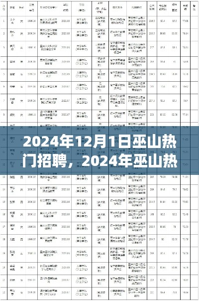 2024年巫山热门招聘现象深度解析，聚焦观点之争