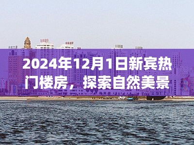 探索新宾自然美景，遇见热门楼房，寻找心灵的宁静与平和之旅（2024年12月1日）