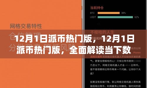 12月1日派币热门版全面解读，数字货币市场趋势与机遇探讨