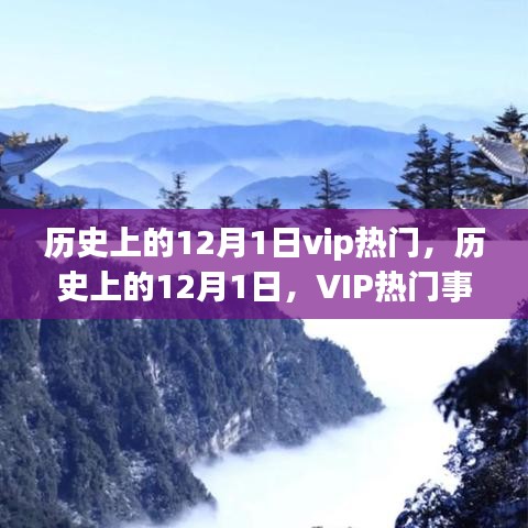 历史上的12月1日，VIP热门事件回顾与重温辉煌时刻——小红书带你领略独特视角