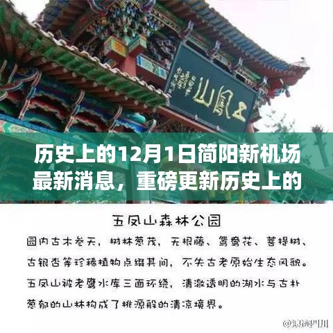 历史上的12月1日简阳新机场建设进展揭秘，最新重磅消息一网打尽