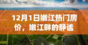 嫩江畔热门房价探索，自然美景与宁静港湾的房价之旅