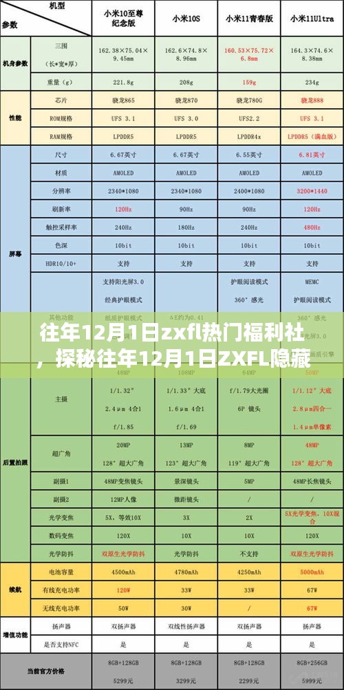 探秘往年12月1日ZXFL隐藏小巷福利社，惊喜藏于寻常巷陌间的独家福利！