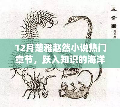 十二月楚雅赵然，知识海洋中的自信成长之旅