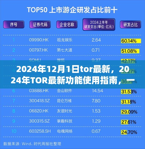2024年TOR最新功能使用指南，一步步带你成为进阶用户