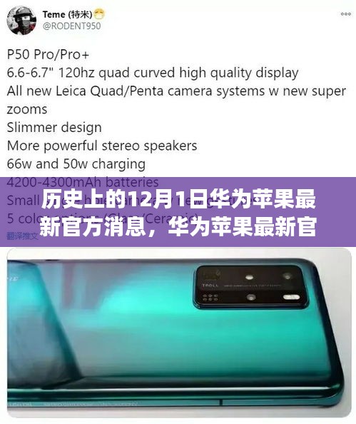 华为与苹果最新官方消息揭秘，小巷深处的特色小店探秘之旅