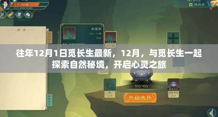 探索自然秘境，与觅长生共度心灵之旅，最新活动预告（往年12月1日）