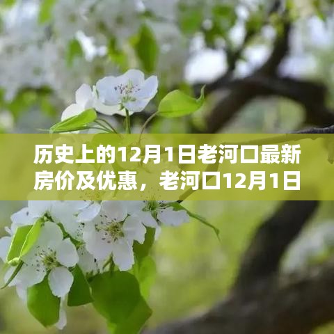 老河口最新房价揭秘，与自然美景共舞的日子启程心灵之旅
