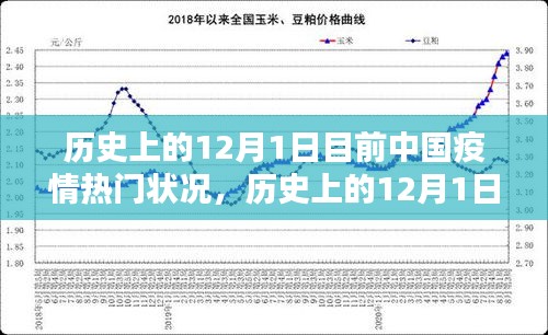 历史上的12月1日，中国疫情现状与深度解析