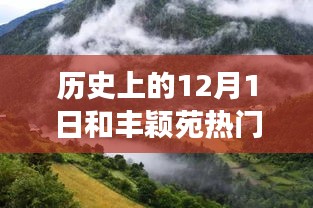 探寻丰颖苑秘境，历史背景与美景下的宁静之旅及热门价格揭秘