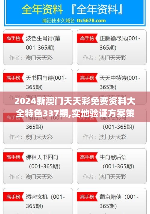 2024新澳门天天彩免费资料大全特色337期,实地验证方案策略_2DM17.589-3
