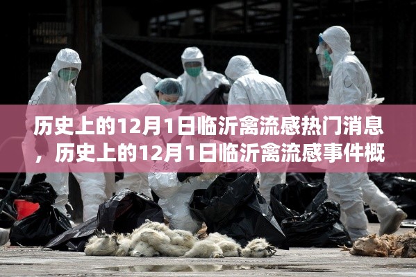 临沂禽流感事件，历史上的12月1日深度回顾与概览