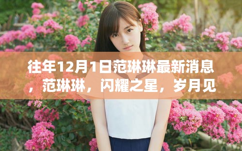范琳琳，闪耀之星，岁月见证的辉煌历程（最新消息）