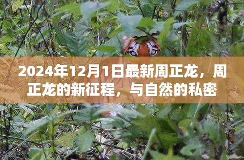 2024年12月1日最新周正龙，周正龙的新征程，与自然的私密约会，寻找心中的宁静乐园